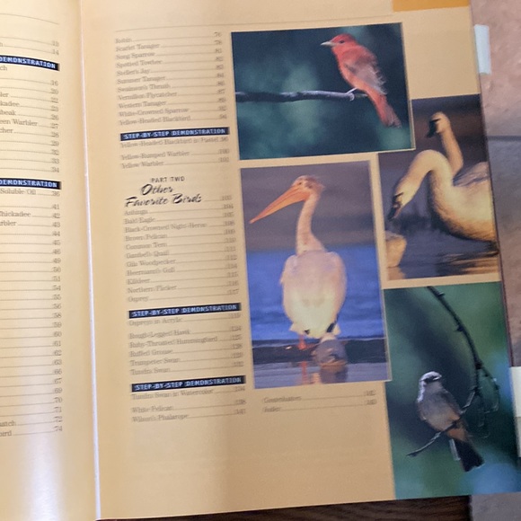 Artist’s Photo Reference songbirds & other Favorite Birds Hardback book - Picture 3 of 8